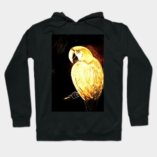 METALLIC GOLD PARROT ON BLACK Hoodie